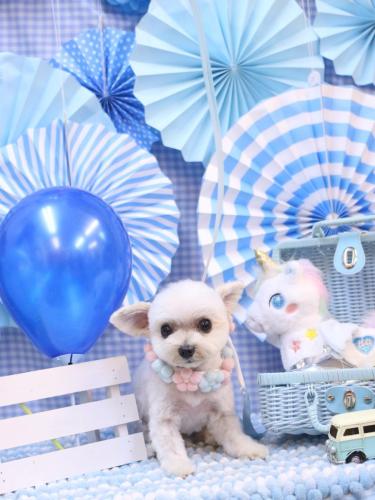 20231115じゅのんくん